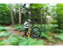 TREK Fuel EXe 9.5