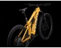 TREK Rail 9.9 XX1 AXS Gen 4