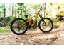 TREK Fuel EXe 9.5