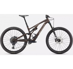 Specialized Stumpjumper Evo Comp 2022