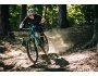 Kellys Theos R50 P 29"/27.5" 725Wh