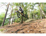 TREK Fuel EXe 9.9 XX1 AXS