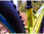 TREK Wahoo 20 Trail