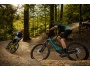 Kellys Theos F50 SH 29"/27.5" 725Wh