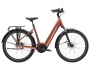 TREK District+ 4 Lowstep 545Wh