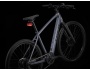 TREK Dual Sport+ 2