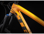 TREK Remedy 9.8