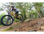 TREK Fuel EXe 9.5